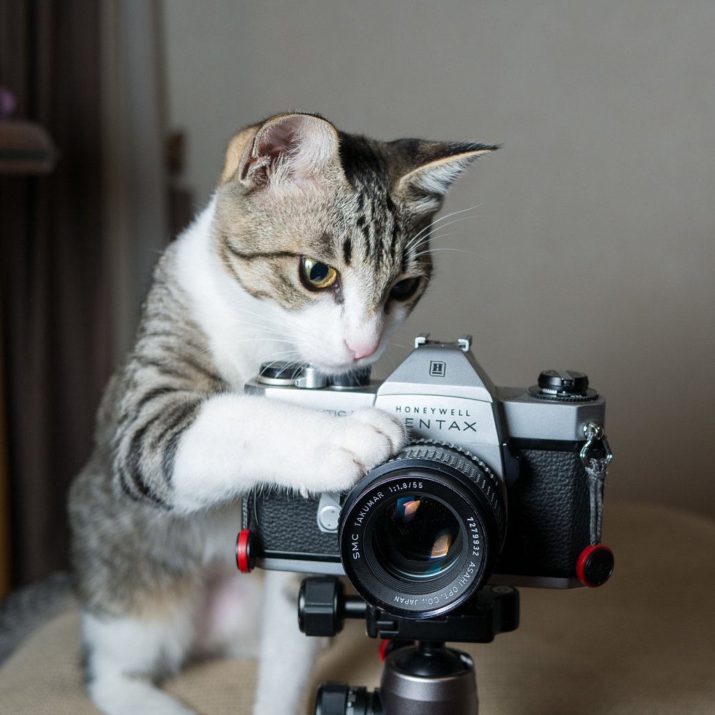 Fine-tuning the focus
