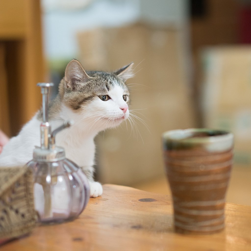 Whatcha drinkin'?