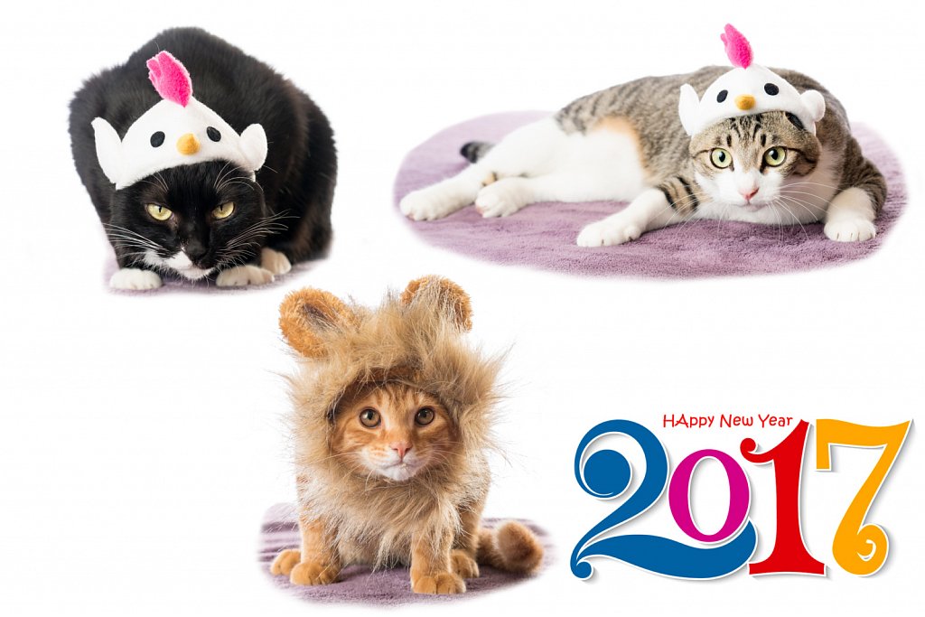 Happy New Year!