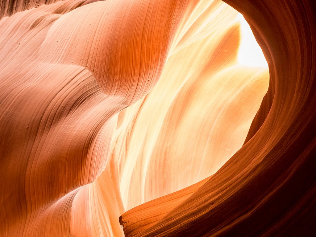 Antelope light