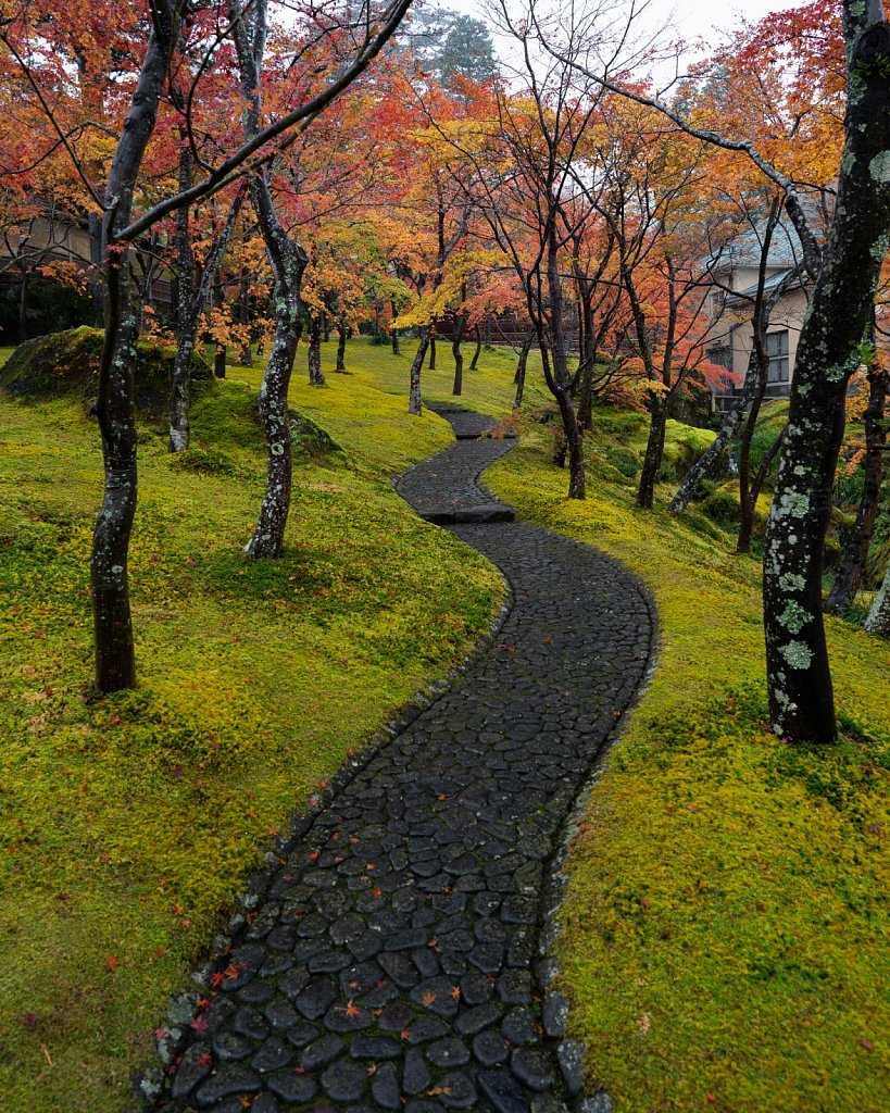 Moss garden at Hakone Art Museum